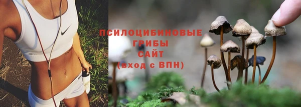 MESCALINE Бородино