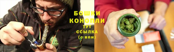 дурь Богданович