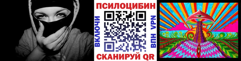 купить   Семёнов  Псилоцибиновые грибы Psilocybine cubensis 